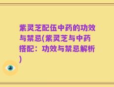 紫灵芝配伍中药的功效与禁忌(紫灵芝与中药搭配：功效与禁忌解析)
