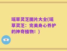 瑶草灵芝图片大全(瑶草灵芝：完美身心养护的神奇植物！)