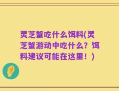 灵芝蟹吃什么饵料(灵芝蟹游动中吃什么？饵料建议可能在这里！)
