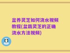 盆养灵芝如何浇水视频教程(盆栽灵芝的正确浇水方法视频)