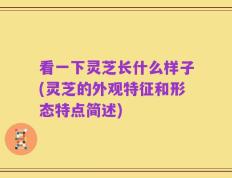 看一下灵芝长什么样子(灵芝的外观特征和形态特点简述)