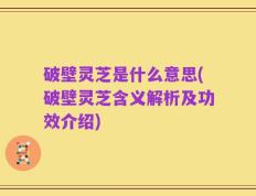 破壁灵芝是什么意思(破壁灵芝含义解析及功效介绍)