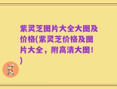 紫灵芝图片大全大图及价格(紫灵芝价格及图片大全，附高清大图！)