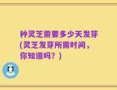 种灵芝需要多少天发芽(灵芝发芽所需时间，你知道吗？)