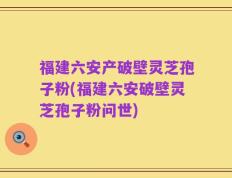 福建六安产破壁灵芝孢子粉(福建六安破壁灵芝孢子粉问世)