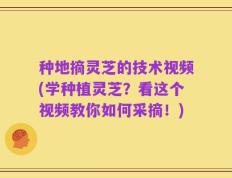 种地摘灵芝的技术视频(学种植灵芝？看这个视频教你如何采摘！)