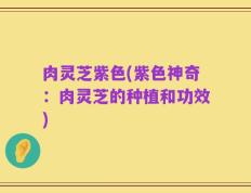 肉灵芝紫色(紫色神奇：肉灵芝的种植和功效)