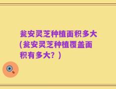 瓮安灵芝种植面积多大(瓮安灵芝种植覆盖面积有多大？)