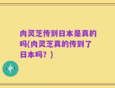 肉灵芝传到日本是真的吗(肉灵芝真的传到了日本吗？)