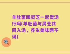 羊肚菌跟灵芝一起煲汤行吗(羊肚菌与灵芝共同入汤，养生美味两不误)
