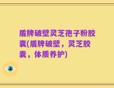 盾牌破壁灵芝孢子粉胶囊(盾牌破壁，灵芝胶囊，体质养护)