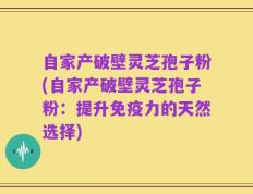 自家产破壁灵芝孢子粉(自家产破壁灵芝孢子粉：提升免疫力的天然选择)