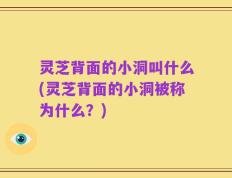 灵芝背面的小洞叫什么(灵芝背面的小洞被称为什么？)