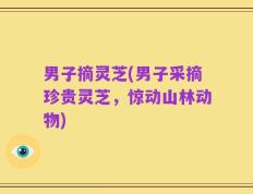 男子摘灵芝(男子采摘珍贵灵芝，惊动山林动物)