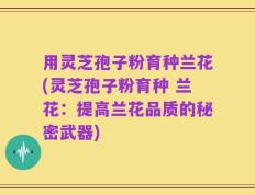用灵芝孢子粉育种兰花(灵芝孢子粉育种 兰花：提高兰花品质的秘密武器)