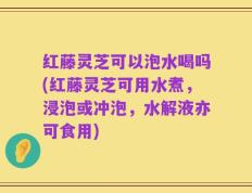 红藤灵芝可以泡水喝吗(红藤灵芝可用水煮，浸泡或冲泡，水解液亦可食用)