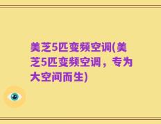 美芝5匹变频空调(美芝5匹变频空调，专为大空间而生)