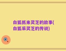 白狐抓来灵芝的故事(白狐采灵芝的传说)