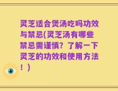 灵芝适合煲汤吃吗功效与禁忌(灵芝汤有哪些禁忌需谨慎？了解一下灵芝的功效和使用方法！)