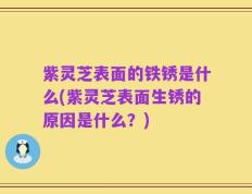 紫灵芝表面的铁锈是什么(紫灵芝表面生锈的原因是什么？)