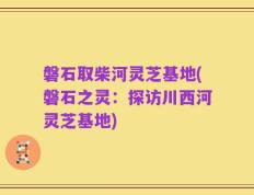 磐石取柴河灵芝基地(磐石之灵：探访川西河灵芝基地)
