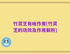 竹灵芝有啥作用(竹灵芝的功效及作用解析)
