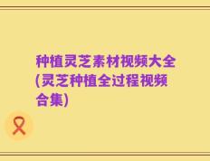 种植灵芝素材视频大全(灵芝种植全过程视频合集)