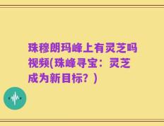 珠穆朗玛峰上有灵芝吗视频(珠峰寻宝：灵芝成为新目标？)