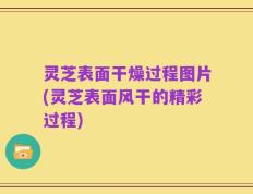 灵芝表面干燥过程图片(灵芝表面风干的精彩过程)