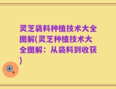 灵芝袋料种植技术大全图解(灵芝种植技术大全图解：从袋料到收获)