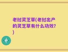 老挝灵芝草(老挝出产的灵芝草有什么功效？)