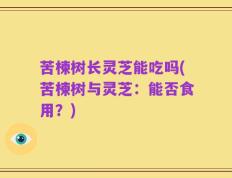 苦楝树长灵芝能吃吗(苦楝树与灵芝：能否食用？)