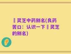 艼灵芝中药别名(良药苦口：认识一下艼灵芝的别名)