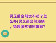 灵芝菌合剂卖不动了怎么办(灵芝菌合剂滞销，销售困扰如何破解？