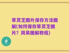 草灵芝图片保存方法图解(如何保存草灵芝图片？简易图解教程)