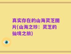 真实存在的山海灵芝图片(山海之珍：灵芝的仙境之旅)
