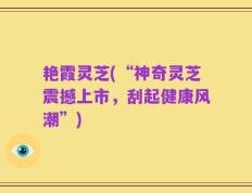 艳霞灵芝(“神奇灵芝震撼上市，刮起健康风潮”)