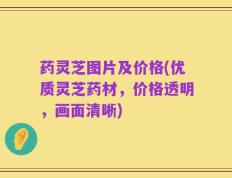 药灵芝图片及价格(优质灵芝药材，价格透明，画面清晰)