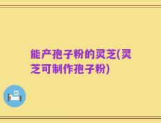能产孢子粉的灵芝(灵芝可制作孢子粉)