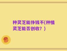 种灵芝能挣钱不(种植灵芝能否创收？)