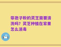 带孢子粉的灵芝需要清洗吗？灵芝种植在家里怎么消毒