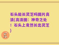 石头能长灵芝吗图片高清(高清图：神奇之处！石头上竟然长出灵芝)