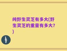 纯野生灵芝有多大(野生灵芝的重量有多大？)