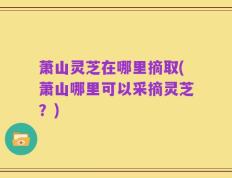 萧山灵芝在哪里摘取(萧山哪里可以采摘灵芝？)