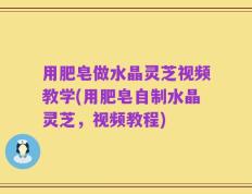用肥皂做水晶灵芝视频教学(用肥皂自制水晶灵芝，视频教程)