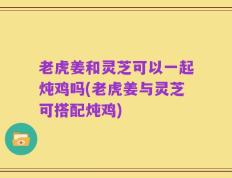 老虎姜和灵芝可以一起炖鸡吗(老虎姜与灵芝可搭配炖鸡)