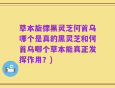 草本旋律黑灵芝何首乌哪个是真的黑灵芝和何首乌哪个草本能真正发挥作用？)