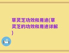 草灵芝功效和用途(草灵芝的功效和用途详解)