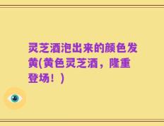 灵芝酒泡出来的颜色发黄(黄色灵芝酒，隆重登场！)