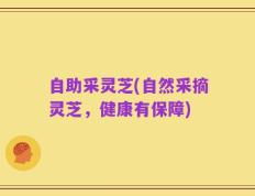 自助采灵芝(自然采摘灵芝，健康有保障)